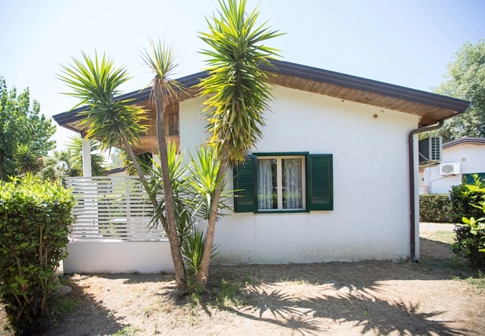 zobacz camping - zdjęcie 52