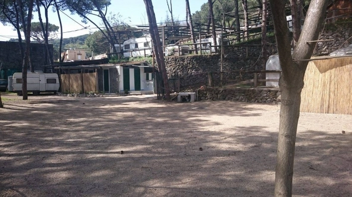 Campeggio Paluba - zdjęcie 1