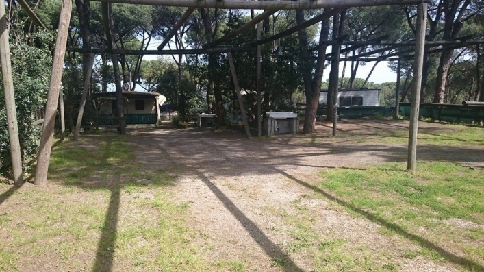 Campeggio Paluba - zdjęcie 1