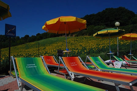 zobacz camping - zdjęcie 20