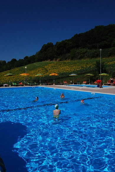 zobacz camping - zdjęcie 19