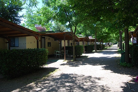 zobacz camping - zdjęcie 18