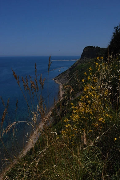 zobacz camping - zdjęcie 15