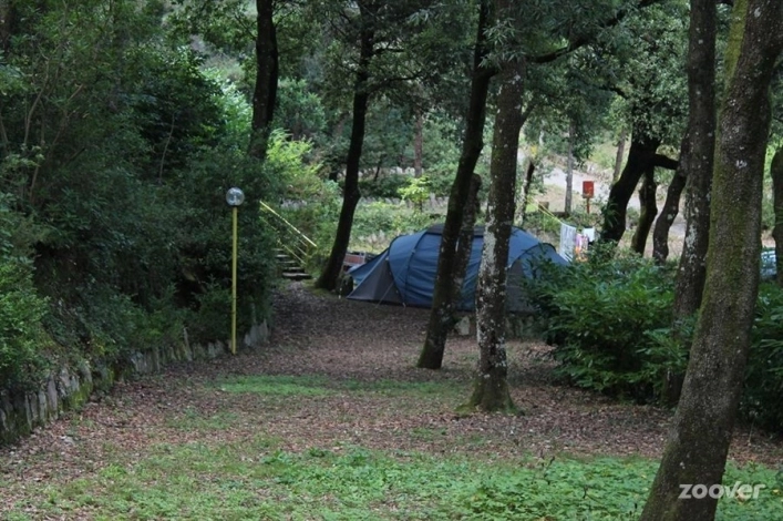 zobacz camping - zdjęcie 6