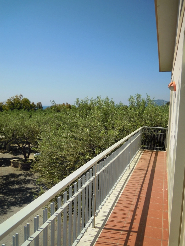 zobacz camping - zdjęcie 15