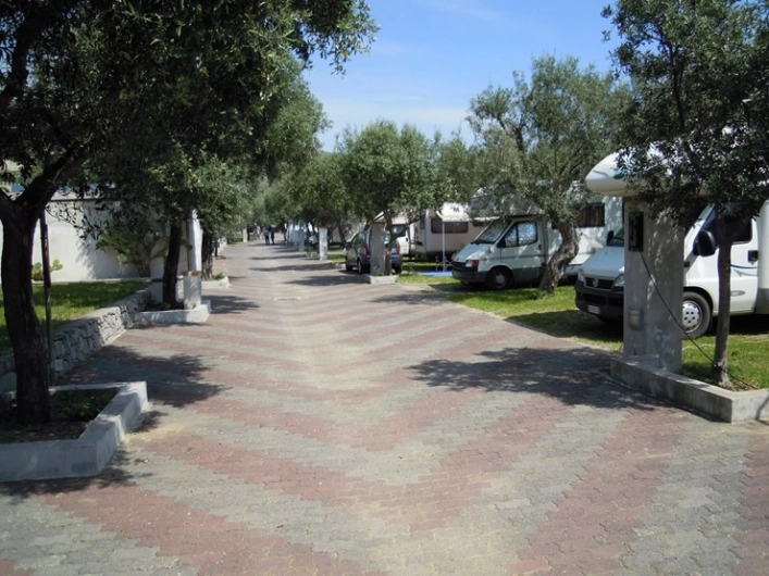 zobacz camping - zdjęcie 5