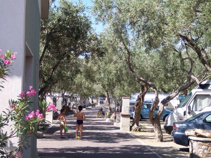 zobacz camping - zdjęcie 4