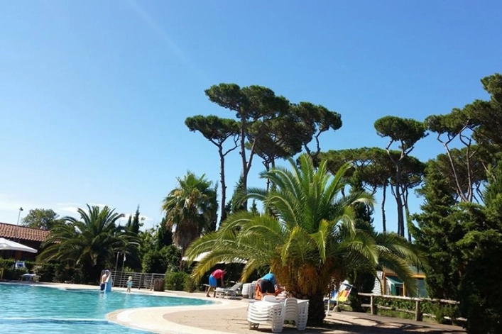 zobacz camping - zdjęcie 36