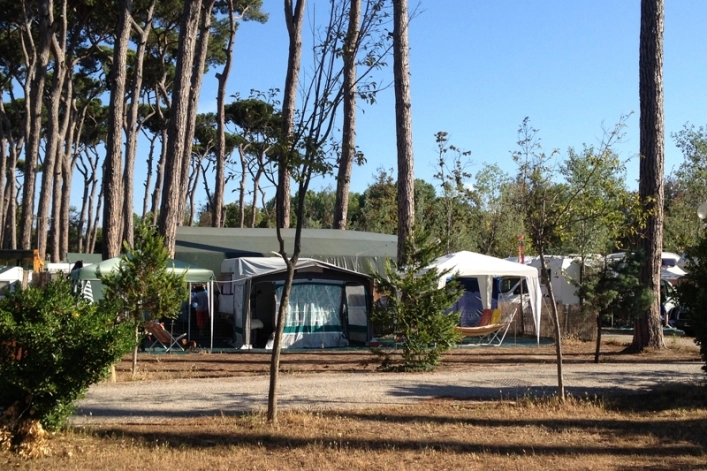 zobacz camping - zdjęcie 31