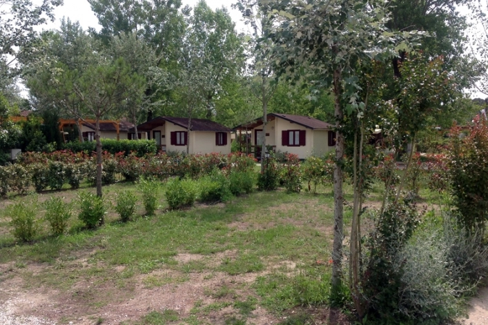 zobacz camping - zdjęcie 29