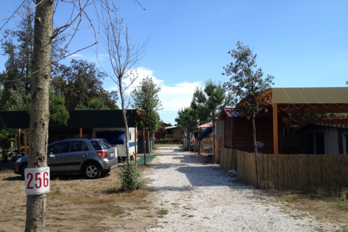 zobacz camping - zdjęcie 26