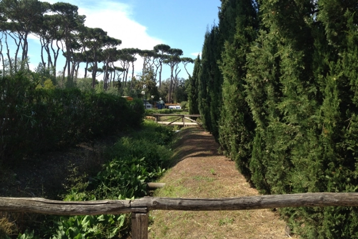 zobacz camping - zdjęcie 19