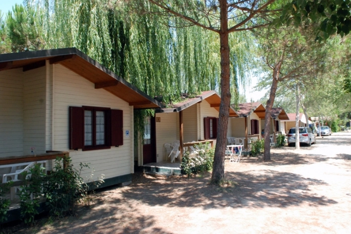 zobacz camping - zdjęcie 5