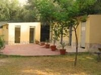 zobacz camping - zdjęcie 19