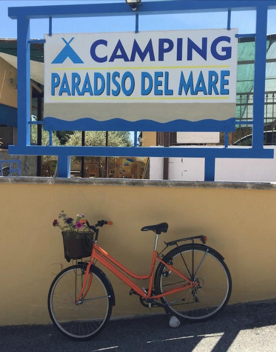 zobacz camping - zdjęcie 15