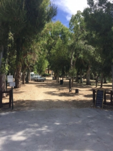 Campeggio Paradiso del mare - zdjęcie 1