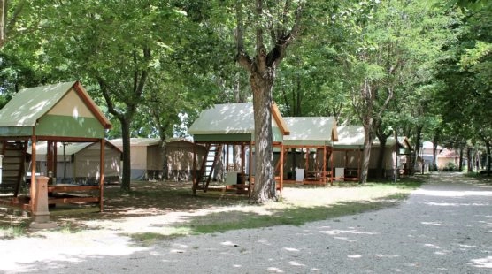 zobacz camping - zdjęcie 16