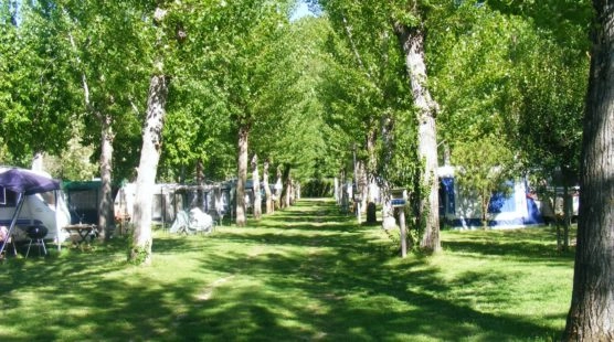 zobacz camping - zdjęcie 13