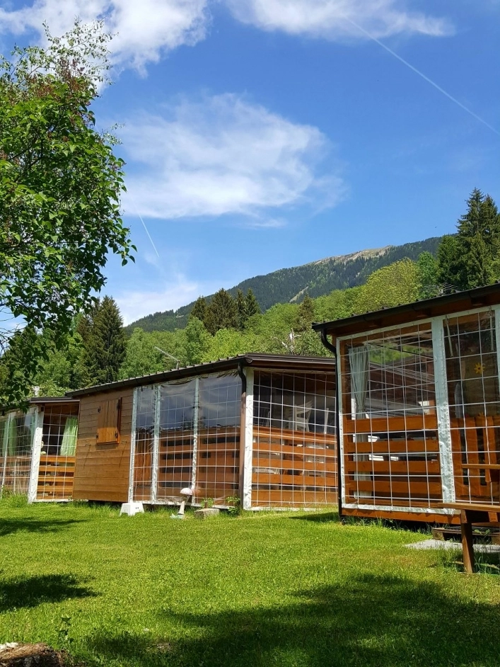 zobacz camping - zdjęcie 10