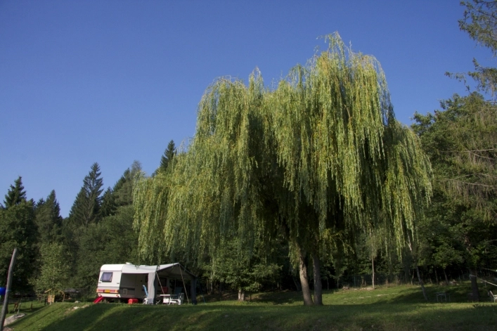 zobacz camping - zdjęcie 2