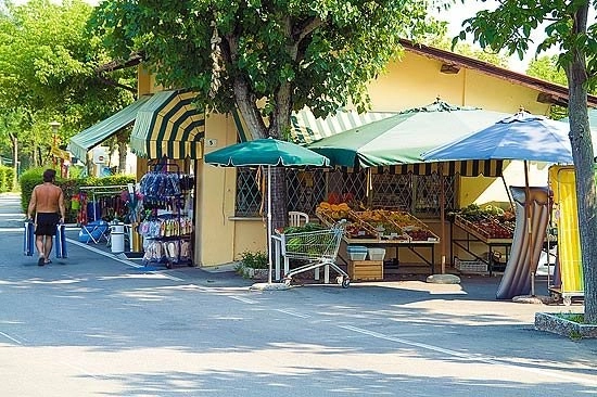 zobacz camping - zdjęcie 8