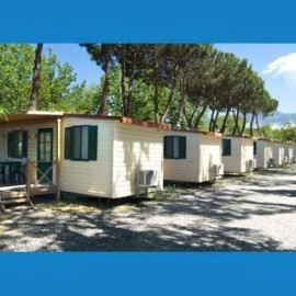 zobacz camping - zdjęcie 38