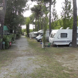 zobacz camping - zdjęcie 36