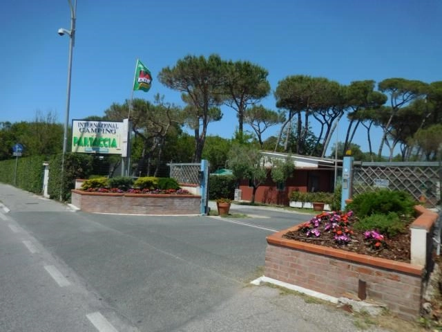 zobacz camping - zdjęcie 33