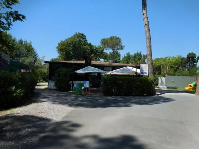 zobacz camping - zdjęcie 32