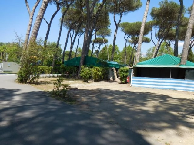 zobacz camping - zdjęcie 30