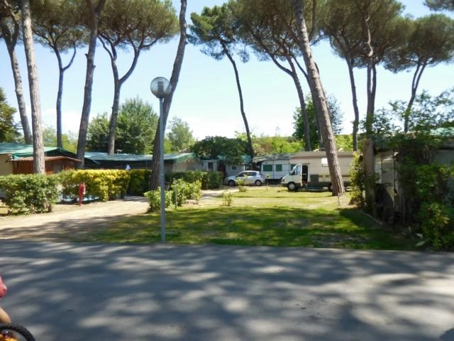 zobacz camping - zdjęcie 29