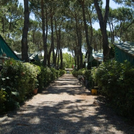 zobacz camping - zdjęcie 26