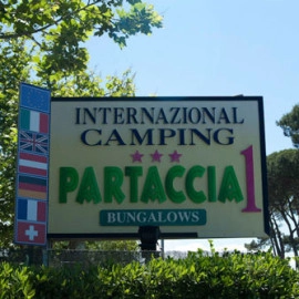 zobacz camping - zdjęcie 25