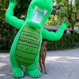 zobacz camping - zdjęcie 24