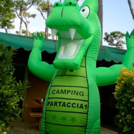 zobacz camping - zdjęcie 23