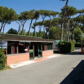 zobacz camping - zdjęcie 20