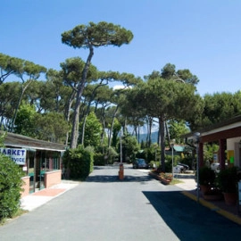 zobacz camping - zdjęcie 19