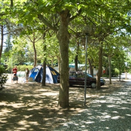 zobacz camping - zdjęcie 18