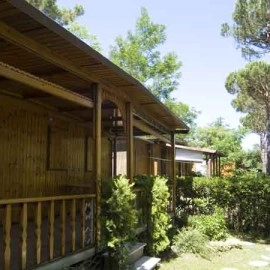 zobacz camping - zdjęcie 17