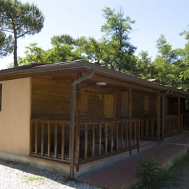 zobacz camping - zdjęcie 16