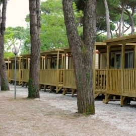 zobacz camping - zdjęcie 9