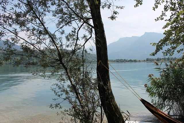 zobacz camping - zdjęcie 33