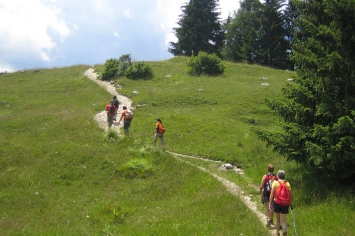 zobacz camping - zdjęcie 8