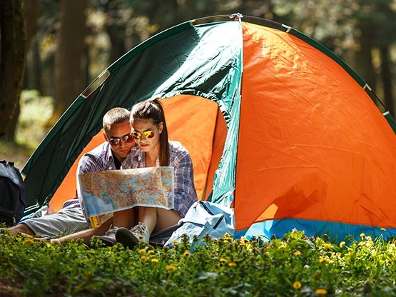 zobacz camping - zdjęcie 3