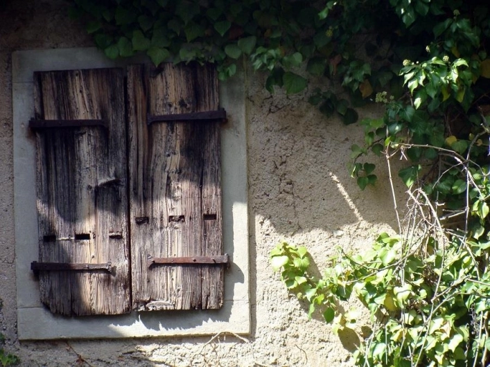 zobacz camping - zdjęcie 22