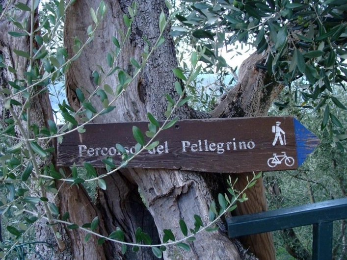 zobacz camping - zdjęcie 21