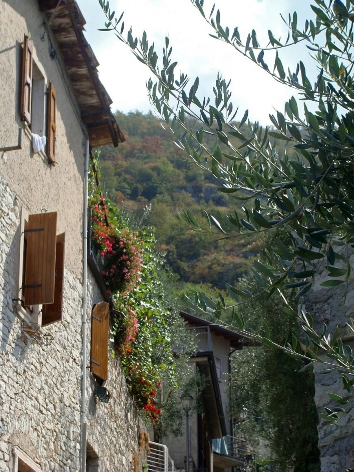 zobacz camping - zdjęcie 20