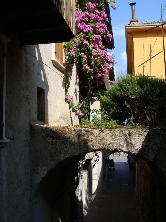 zobacz camping - zdjęcie 18