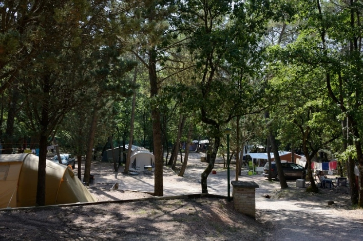 zobacz camping - zdjęcie 15