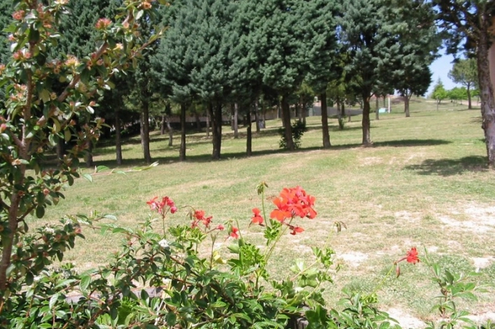 zobacz camping - zdjęcie 14